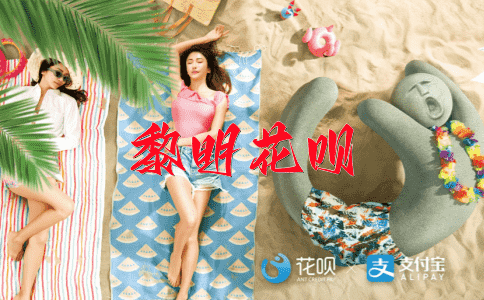 不足挂齿花呗